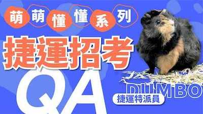 天竺鼠車車登場！PUI PUI捷運招考QA！