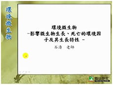 環境微生物-雲端 - 石濤