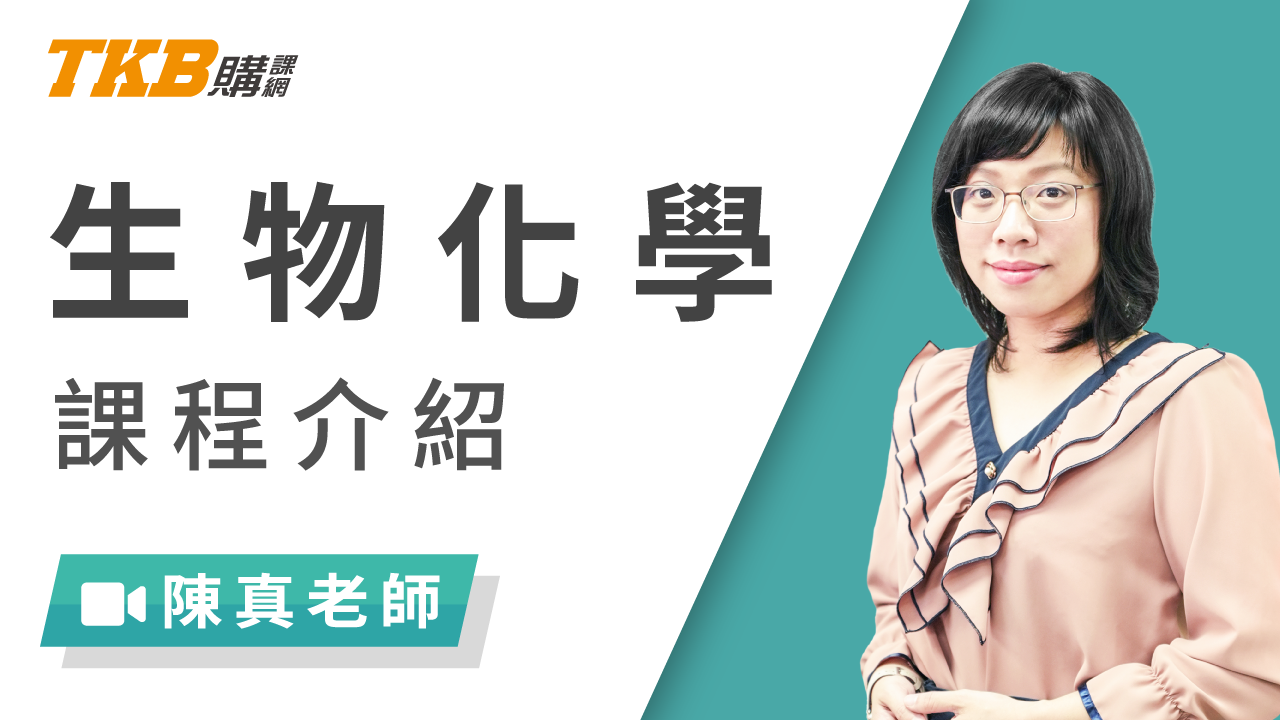 陳真老師